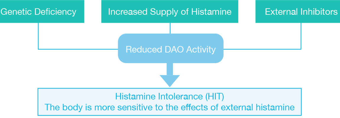 Reduced_DAO_Activity_w Cause of histamine intolerance