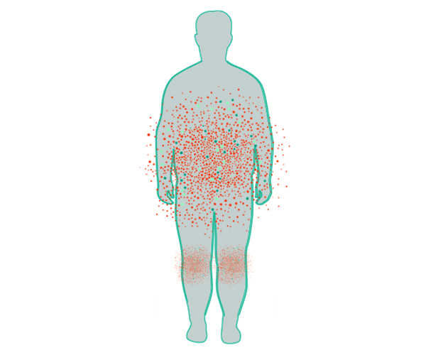 metabolic_health_body_600x500 metabolic body