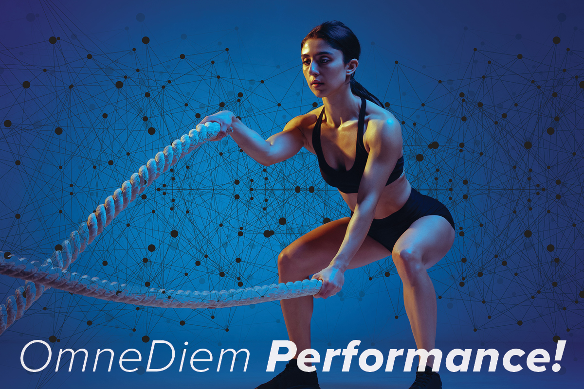 OmneDiem_performance2 OmneDiem Performance